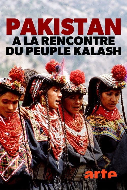 Affiche du film Die Ungläubigen vom Hindukusch (2020)