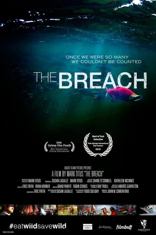 The Breach (2014) movie poster