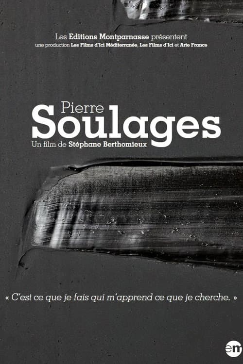 Affiche du film Pierre Soulages (2017)