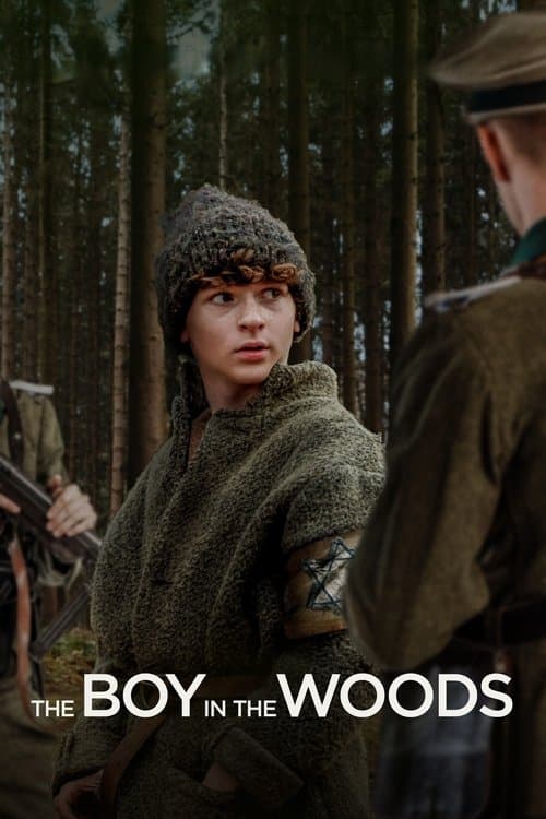 The Boy in the Woods (2023) movie poster