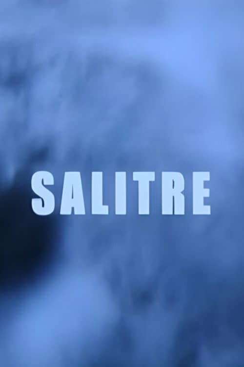 Salitre (2005) movie poster