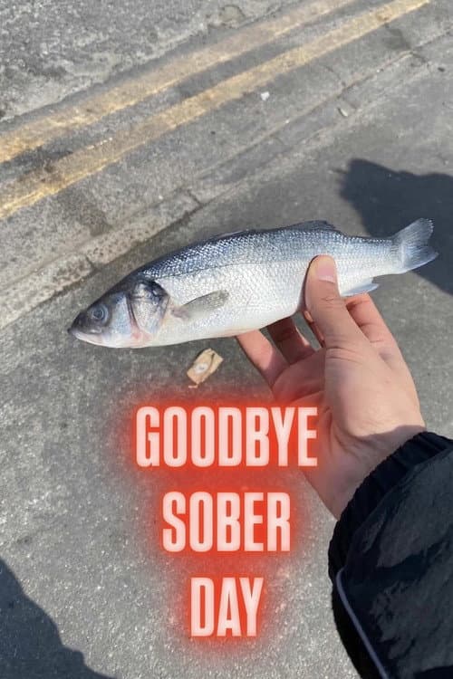 Affiche du film Goodbye Sober Day (2026)