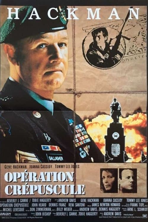 Affiche du film The Package (1989)