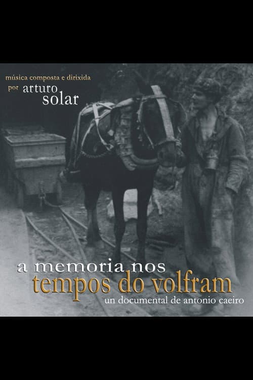 A Memoria nos tempos do wolfram (2003) movie poster