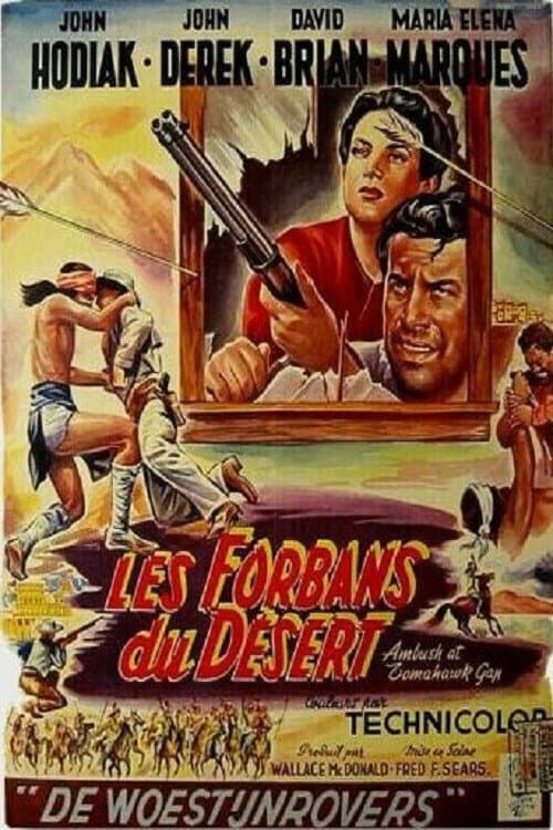 Affiche du film Ambush at Tomahawk Gap (1953)