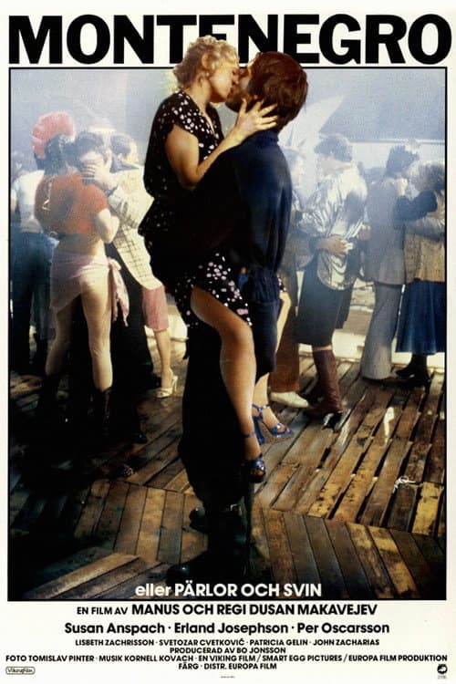 Affiche du film Montenegro (1981)