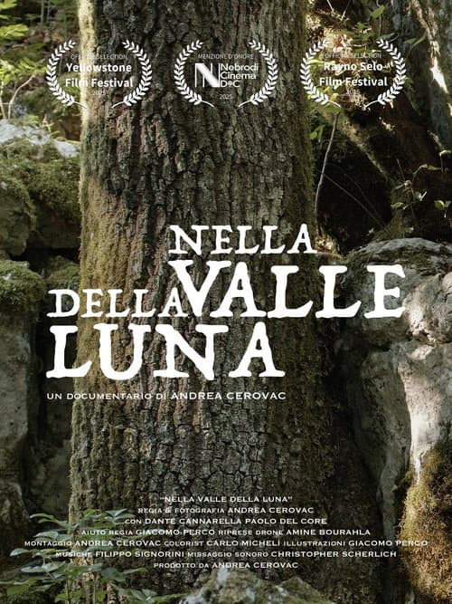 ملصق فيلم Nella Valle della Luna (2026)