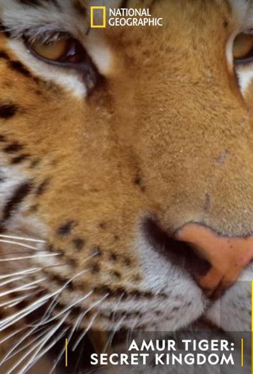 Tigre de Sibérie, seigneur sans frontières (2023) movie poster