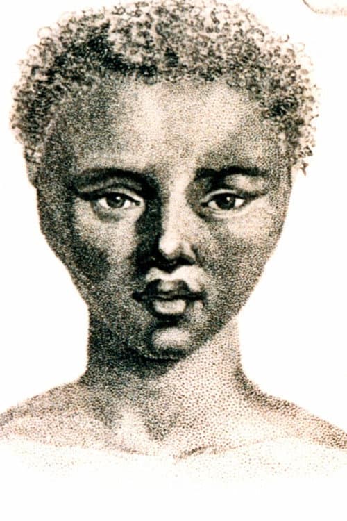 ملصق فيلم The Life and Times of Sara Baartman (1998)