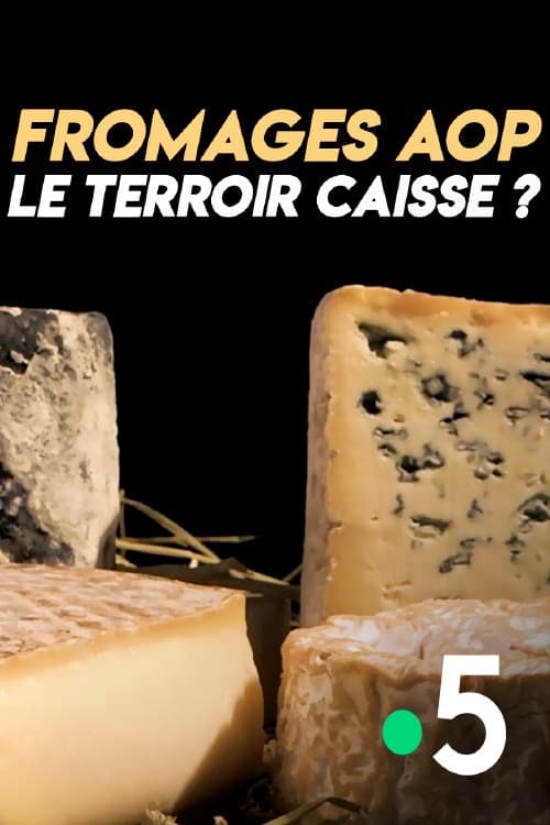 Affiche du film Fromages AOP : le terroir caisse ? (2018)