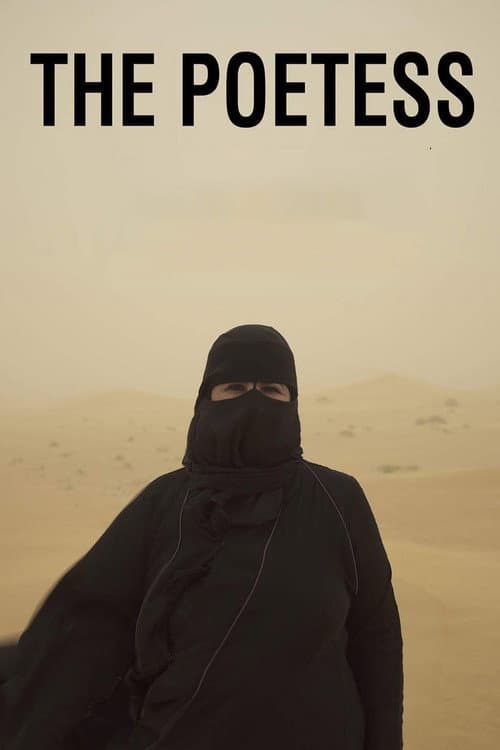 Hissa Hilal - Eine Stimme hinter dem Schleier (2017) movie poster