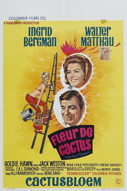 Affiche du film Cactus Flower (1969)