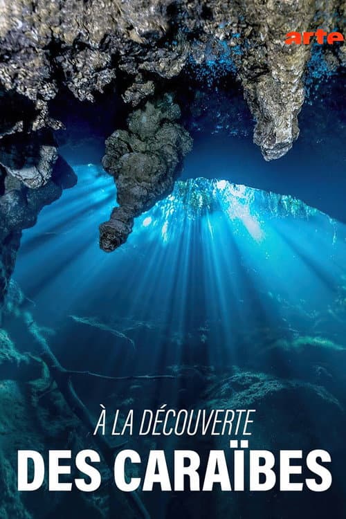 Affiche du film Abenteuer Karibik (2017)