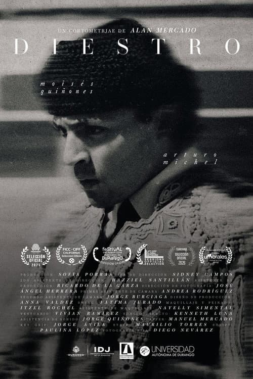 Diestro movie poster