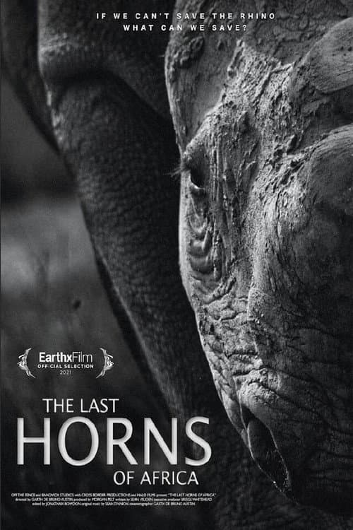 Affiche du film The Last Horns Of Africa (2021)