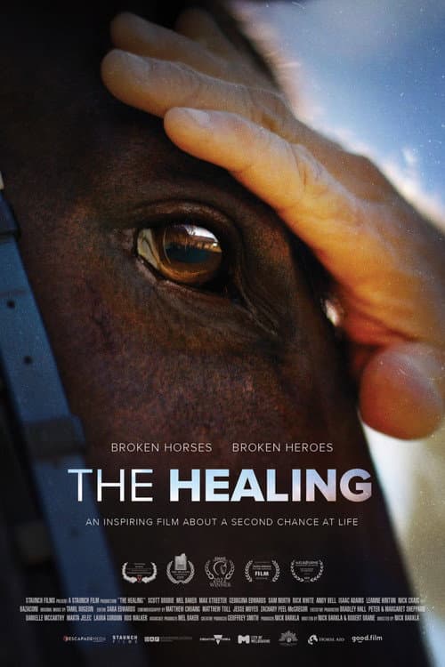 ملصق فيلم The Healing (2023)