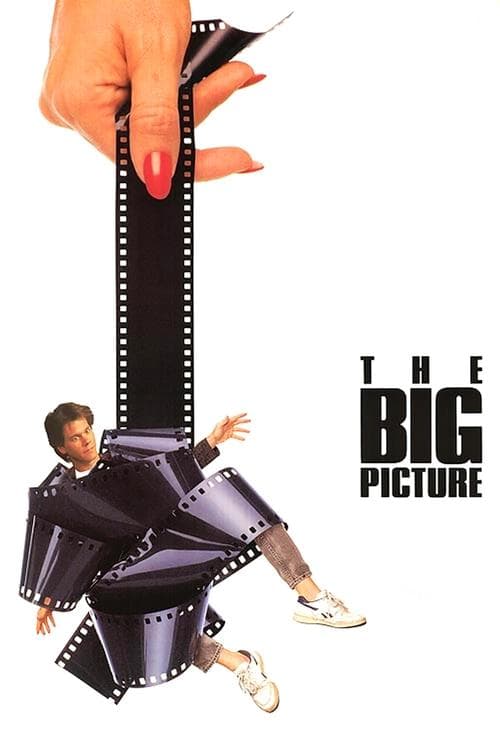The Big Picture (1989) movie poster