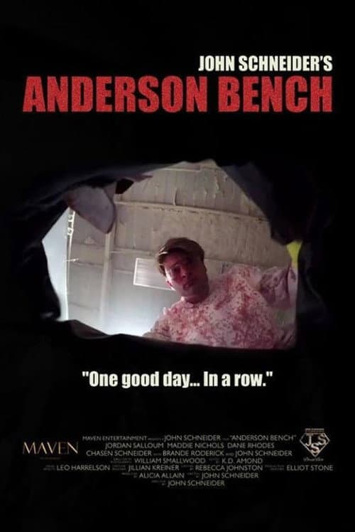 ملصق فيلم Anderson Bench (2016)