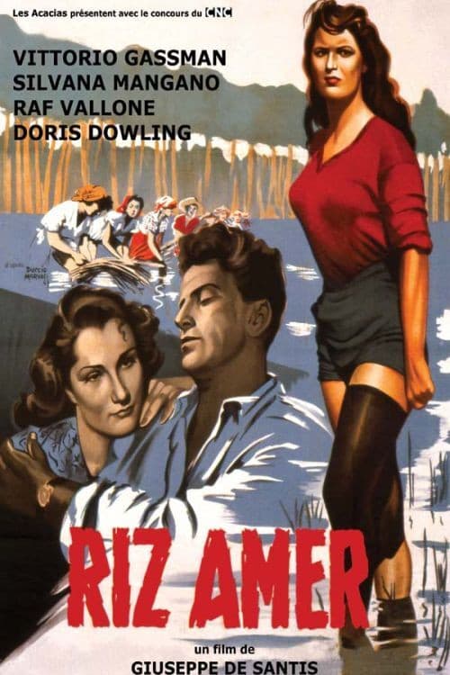 Affiche du film Riso amaro (1949)