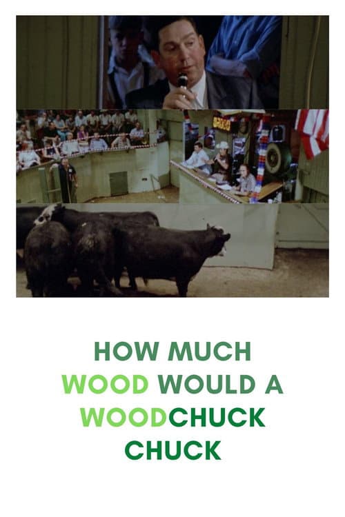 Affiche du film How Much Wood Would a Woodchuck Chuck: Beobachtungen zu einer neuen Sprache (1976)