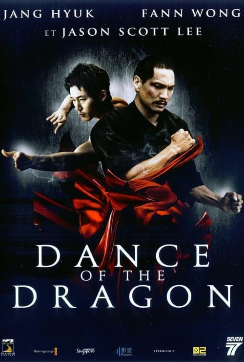 Affiche du film Dance Of The Dragon (2008)