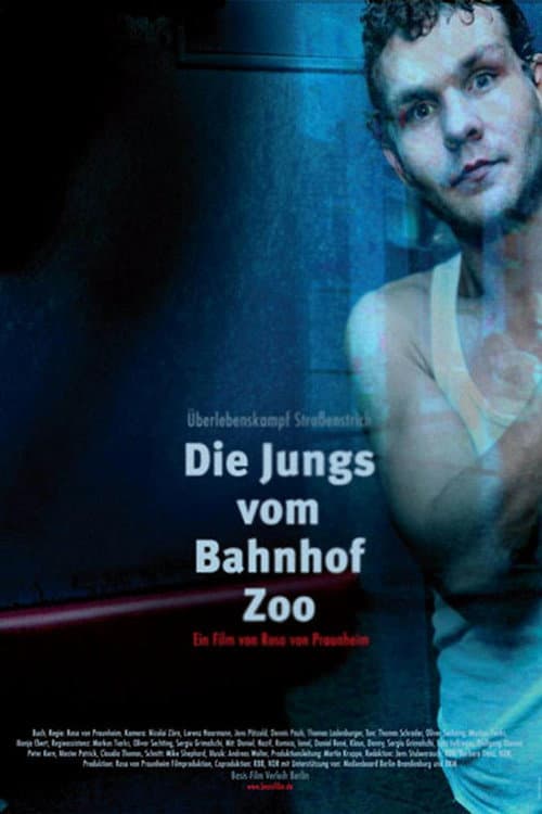 ملصق فيلم Die Jungs vom Bahnhof Zoo (2011)