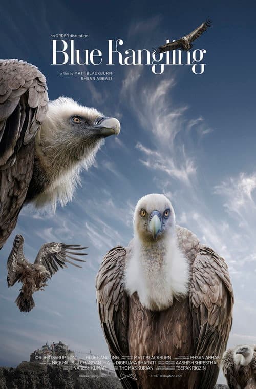 ملصق فيلم Blue Kangling