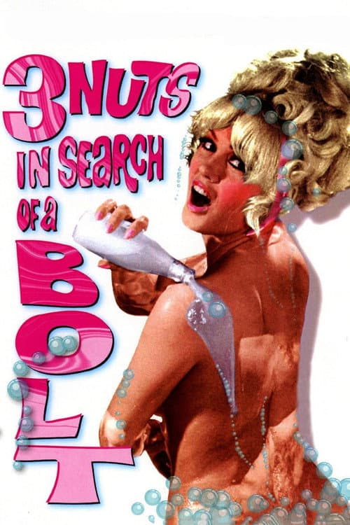3 Nuts in Search of a Bolt (1964) movie poster