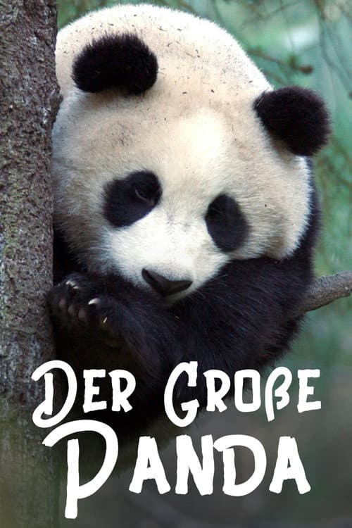 ملصق فيلم Der Große Panda (2020)