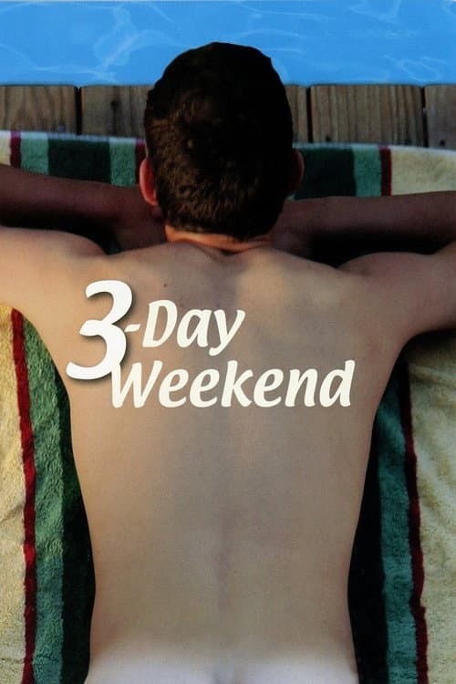 Affiche du film 3-Day Weekend (2008)