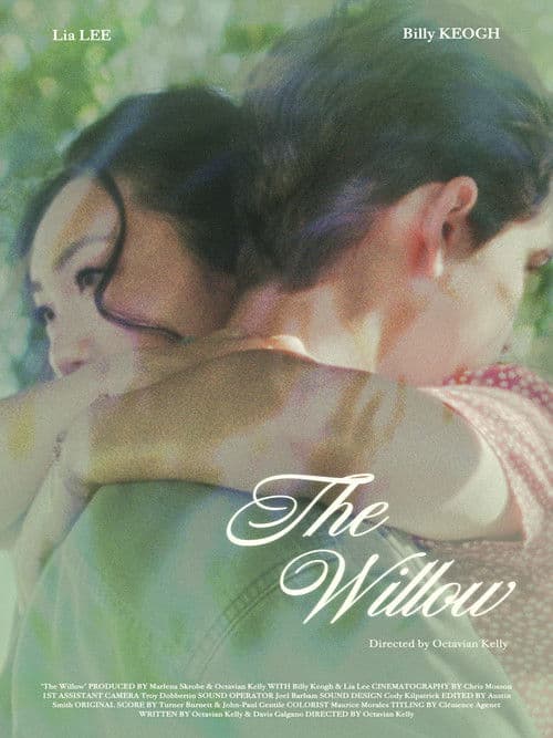 ملصق فيلم The Willow (2022)