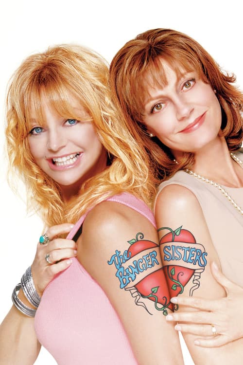 Affiche du film The Banger Sisters (2002)