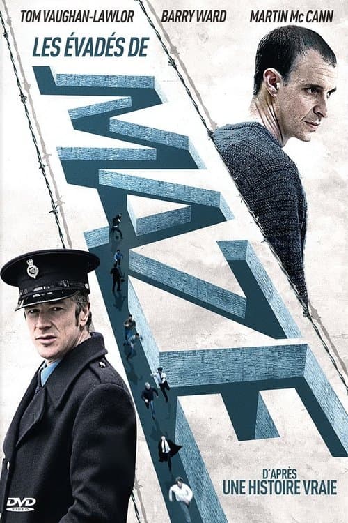 Affiche du film Maze (2017)