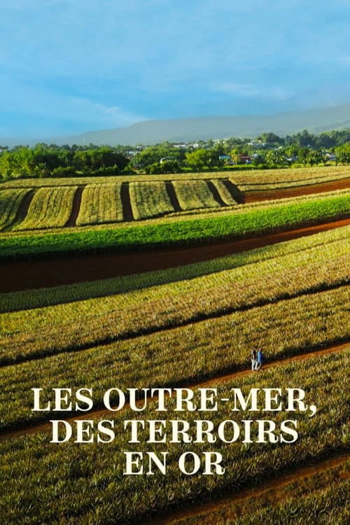 Affiche du film Les Outre-mer, des terroirs en or (2024)
