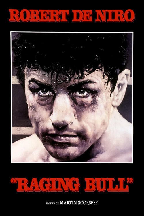 Affiche du film Raging Bull (1980)