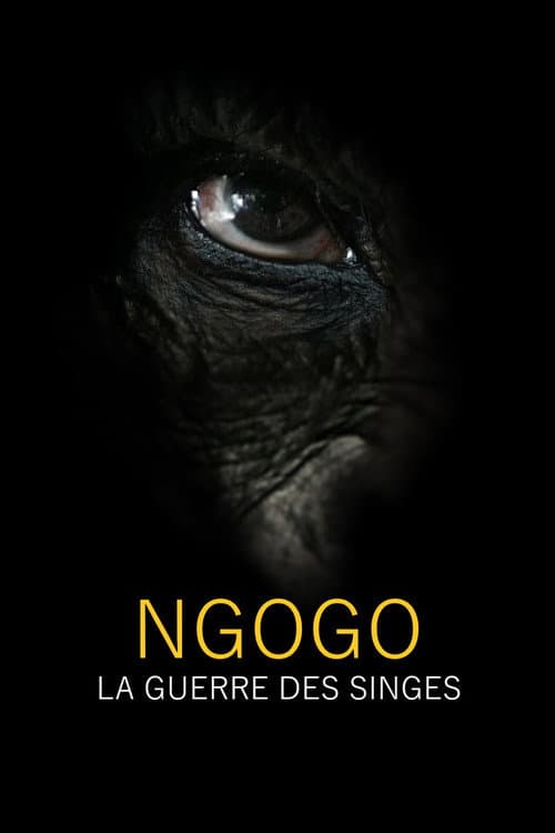 Affiche du film Rise of the Warrior Apes (2017)