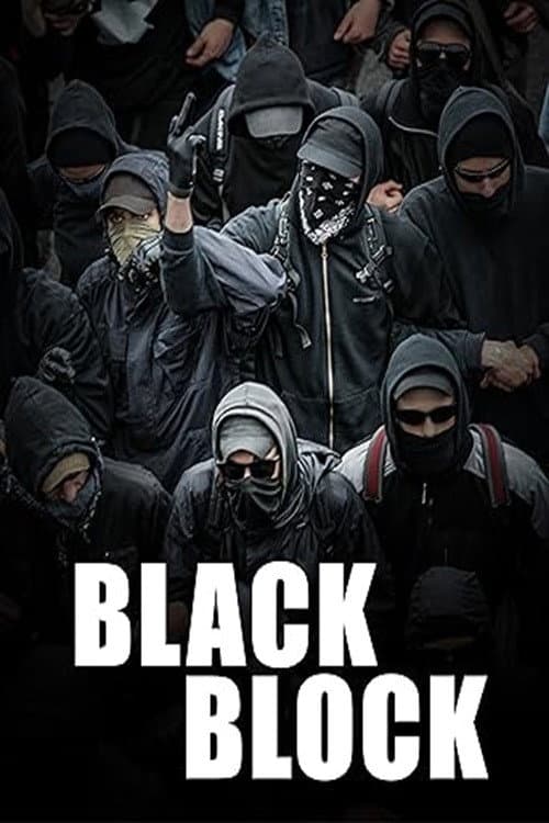Black Block (2011) movie poster