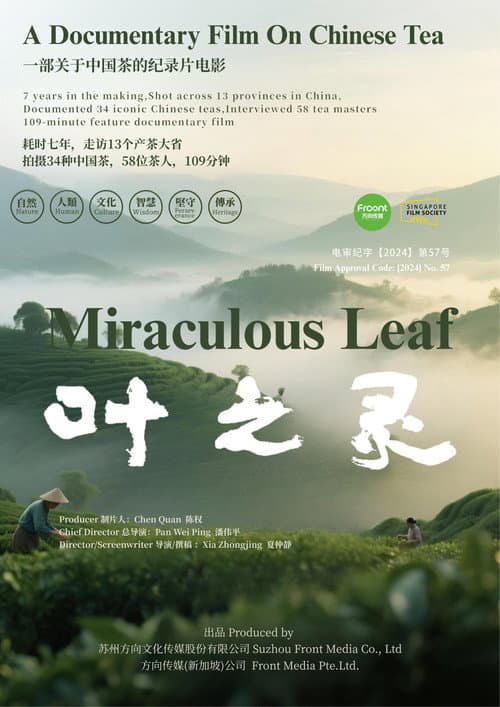 叶之灵 (2026) movie poster