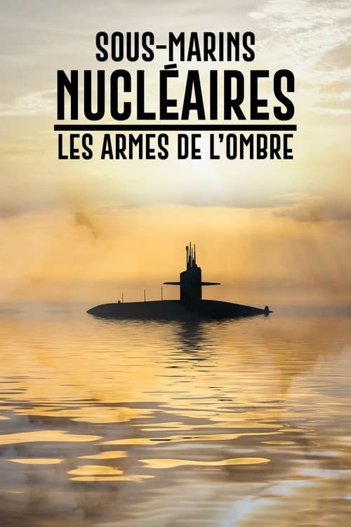 Affiche du film Sous-marins nucléaires : Les Armes de l'ombre (2020)