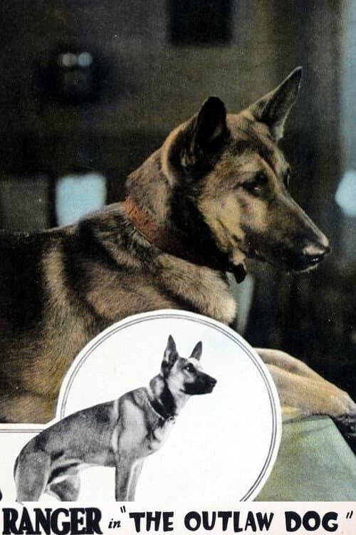 ملصق فيلم The Outlaw Dog (1927)