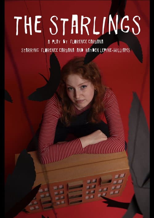Affiche du film The Starlings (2024)