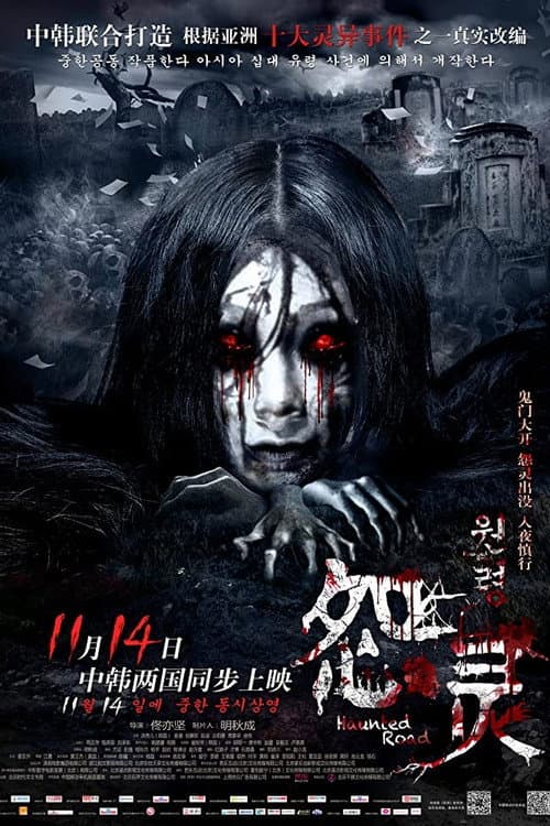 怨灵 (2014) movie poster