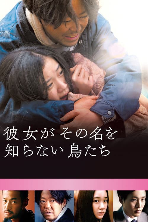 ملصق فيلم 彼女がその名を知らない鳥たち (2017)
