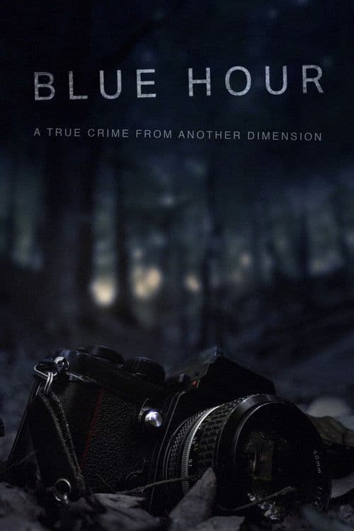 Blue Hour: The Disappearance of Nick Brandreth (2023) movie poster