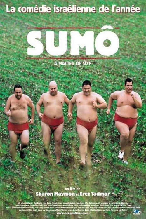 Affiche du film סיפור גדול (2009)