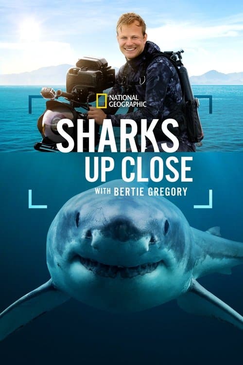 ملصق فيلم Sharks Up Close with Bertie Gregory (2025)