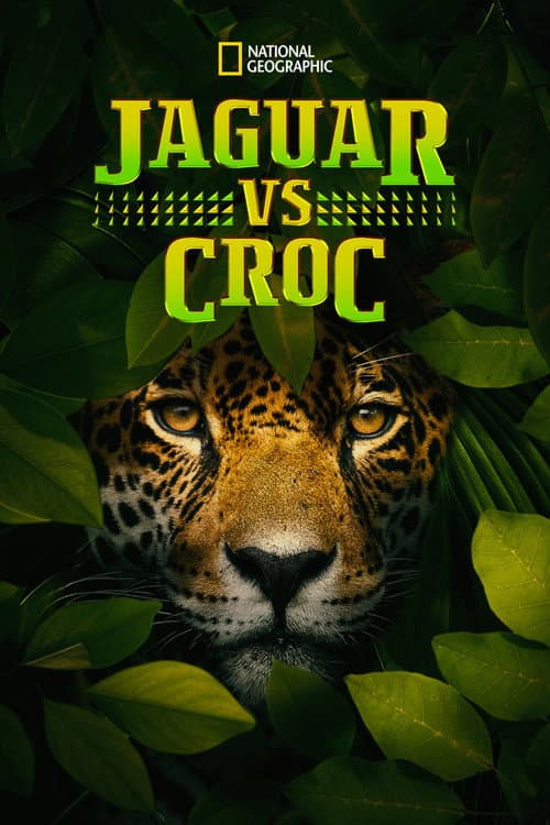 ملصق فيلم Jaguar vs. Krokodille (2017)
