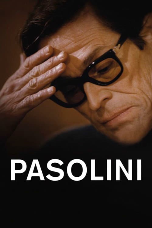 Affiche du film Pasolini (2014)