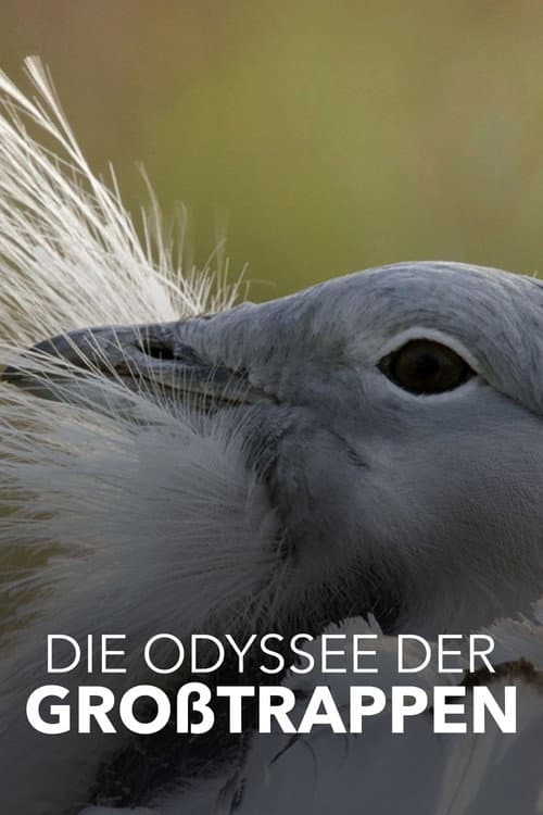 Die Odyssee der Großtrappen - Das Comeback der Riesenvögel (2021) movie poster