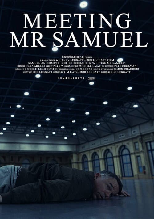 Meeting Mr Samuel (2023) movie poster